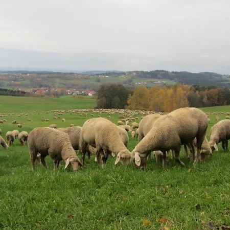 Degenberger Hof * Schwarzach