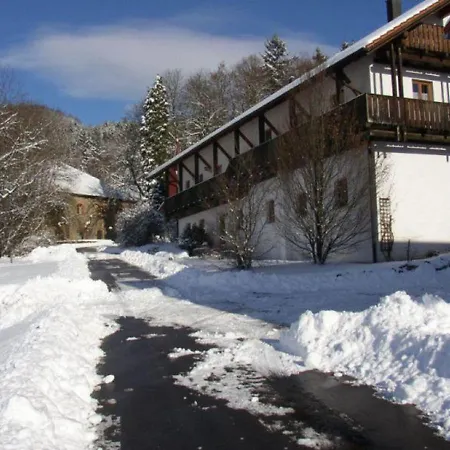 Degenberger Hof Apartman Schwarzach